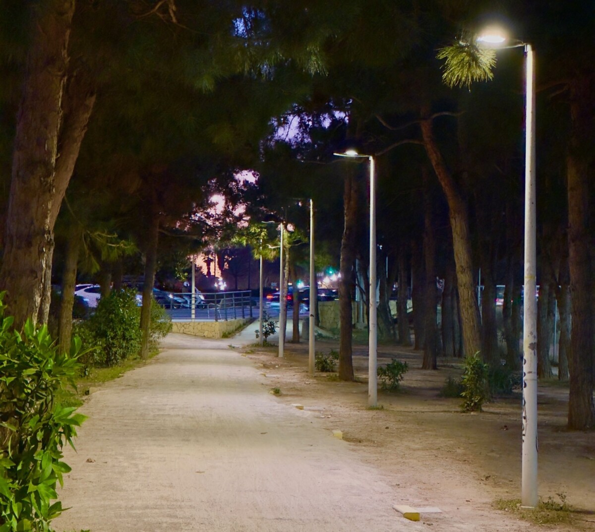 Carril bici e iluminación Alboraya